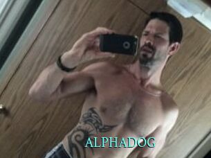 ALPHADOG