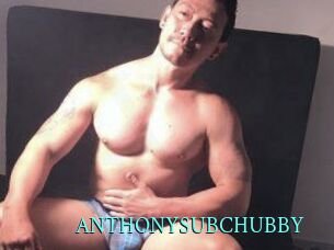 ANTHONYSUBCHUBBY