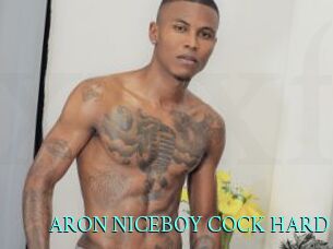 ARON_NICEBOY_COCK_HARD