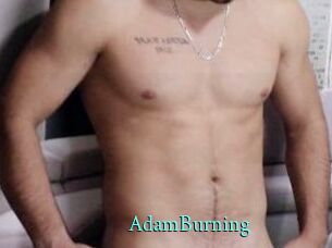 AdamBurning