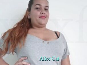 Alice_Cat