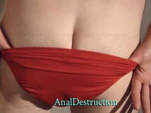 Anal_Destruction