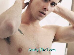 AndyTheTeen