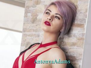 AntonyaAdams