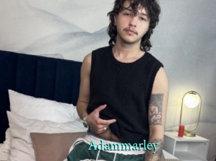 Adammarley