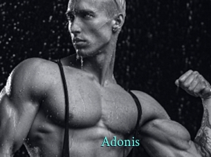 Adonis_