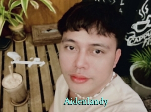 Aidenlandy