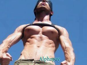 Alphaguy