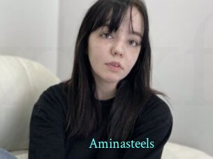 Aminasteels