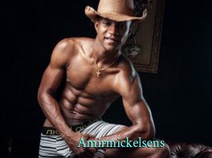 Amirmickelsens