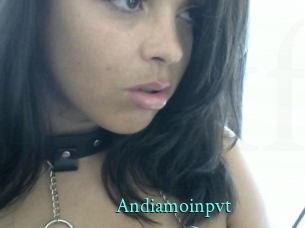 Andiamoinpvt