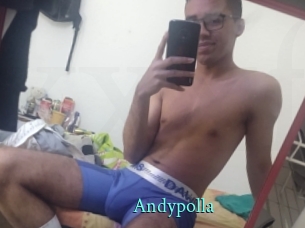 Andypolla