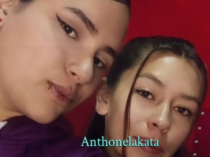 Anthonelakata