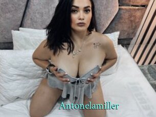 Antonelamiller