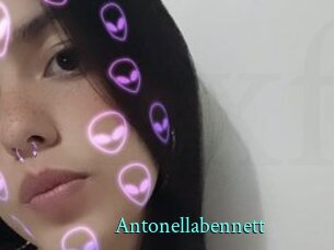 Antonellabennett