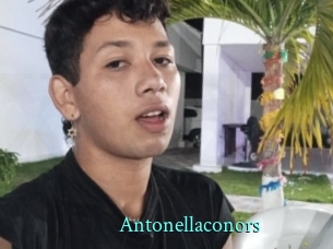 Antonellaconors