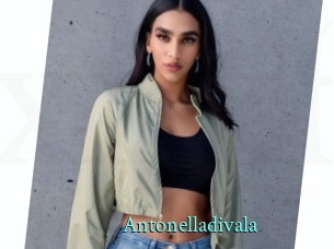 Antonelladivala