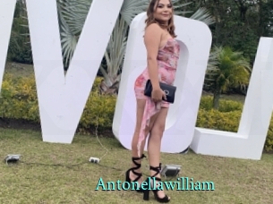 Antonellawilliam