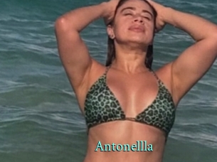 Antonellla