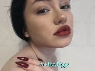 Audreybigge