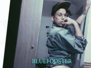 BLUEFOOSTER