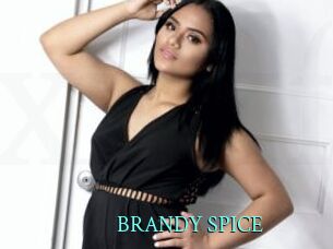 BRANDY_SPICE