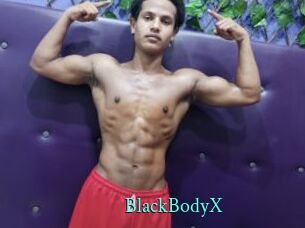 BlackBodyX