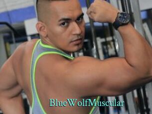 BlueWolfMuscular