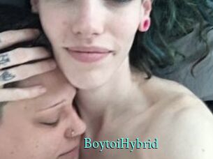 BoytoiHybrid