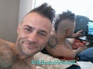 BrikBramblewood xxx Fantasy Land
