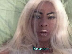 Bronzen xxx Fantasy Land