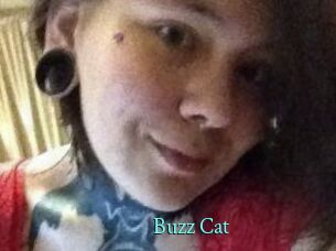 Buzz_Cat