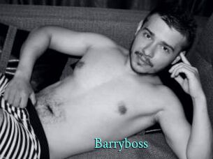 Barryboss