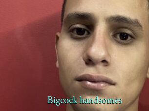 Bigcock_handsomes