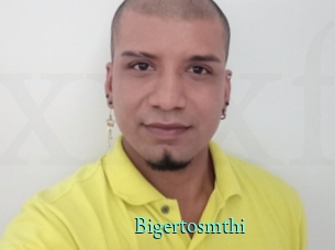 Bigertosmthi