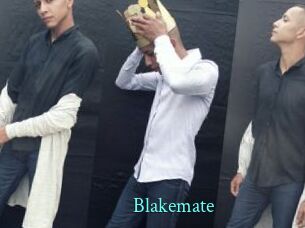 blakemate xxx Fantasy Land