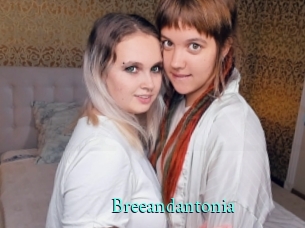 Breeandantonia