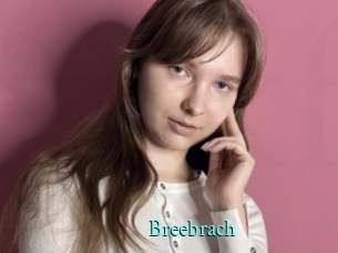 Breebrach