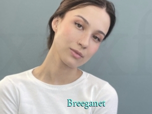 Breeganet