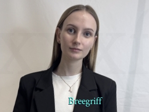 Breegriff