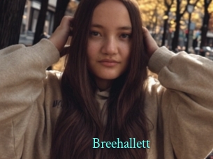 Breehallett