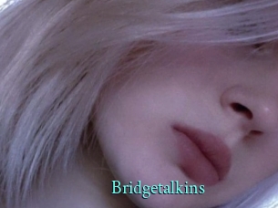 Bridgetalkins