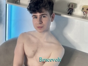 Brucevolt