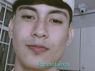 Brunofalcon