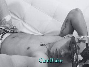 Cam_Blake xxx Fantasy Land