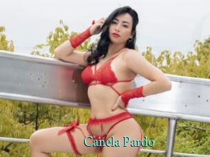 Canela_Pardo