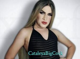 CataleyaBigCock