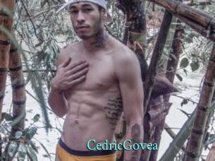 CedricGovea