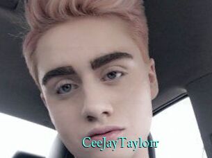 CeeJayTaylorr