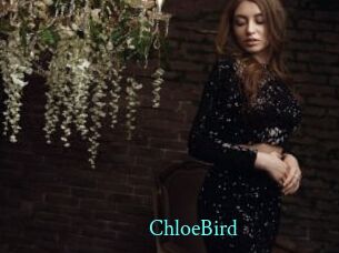 ChloeBird